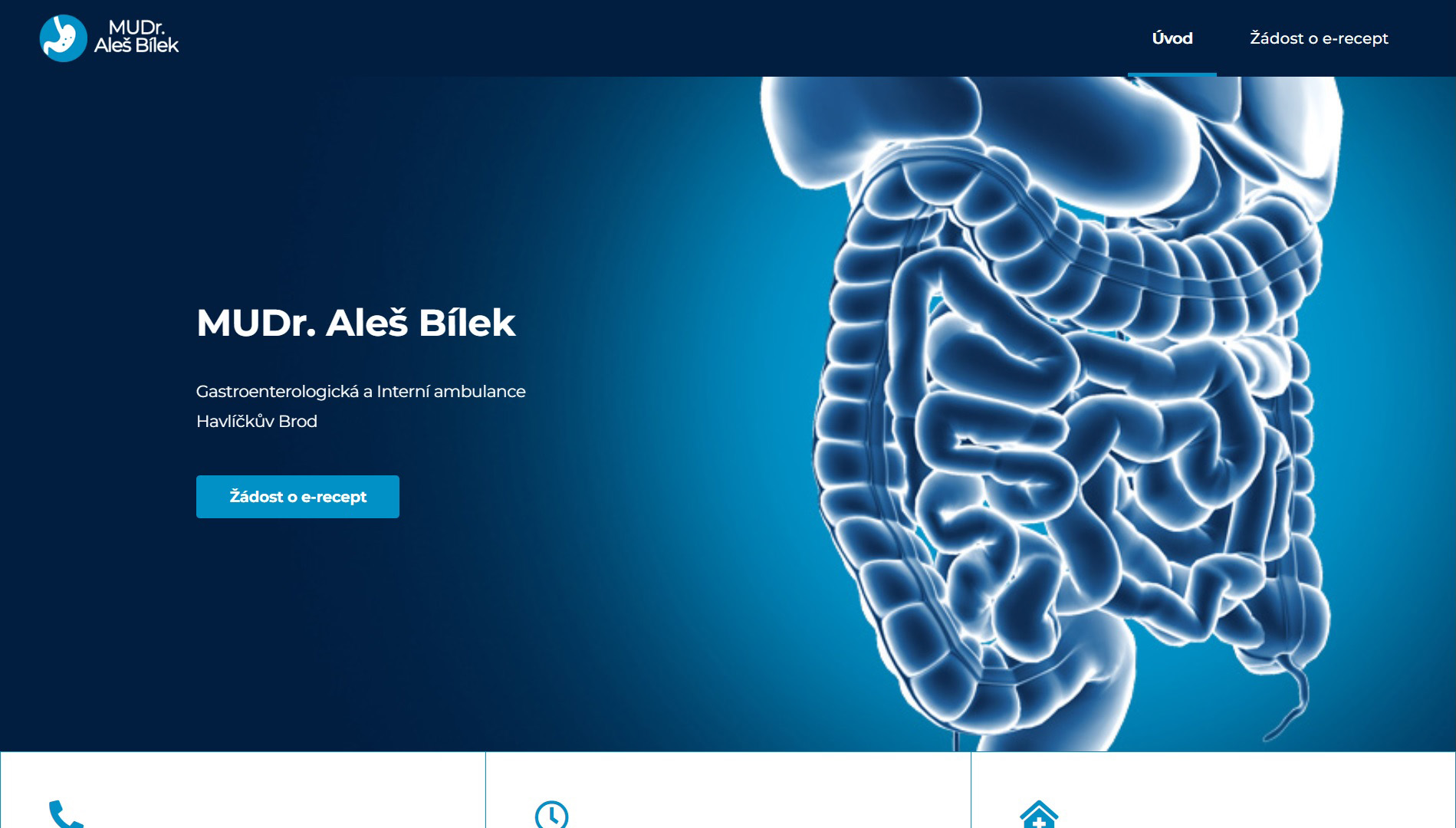 MUDr. Aleš Bílek